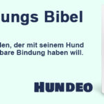 Hundeo-Bannerwerbung-784x250-2.jpg