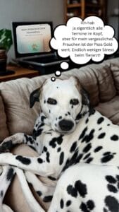 Dalmatiner Jina liegt tiefenentspannt als Security Managerin auf dem Sofa um die Sicherheit durch den digitalen Hundepass zu symbolisieren