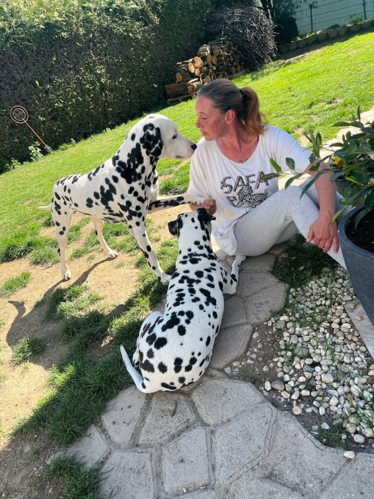 Hundeexpertin Yvonne zeigt klare Konsequenz waehrend ihre Dalmatiner beim Hundeerziehung fuer Fortgeschrittene Training in der Pubertaet Grenzen testen