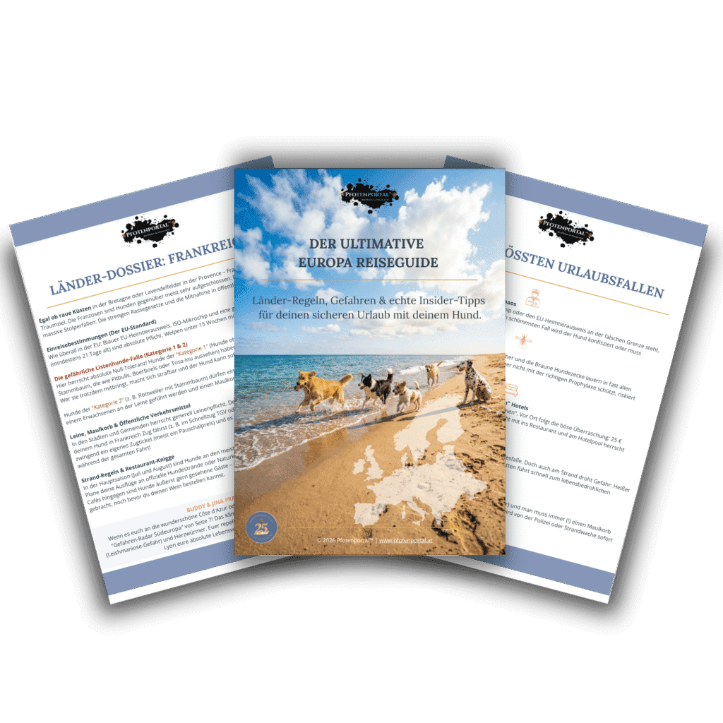 Drei aufgefaecherte Seiten des Pfotenportal Europa Reiseguides zeigen das Deckblatt mit Hunden am Strand sowie die Laender Dossiers und Urlaubsfallen