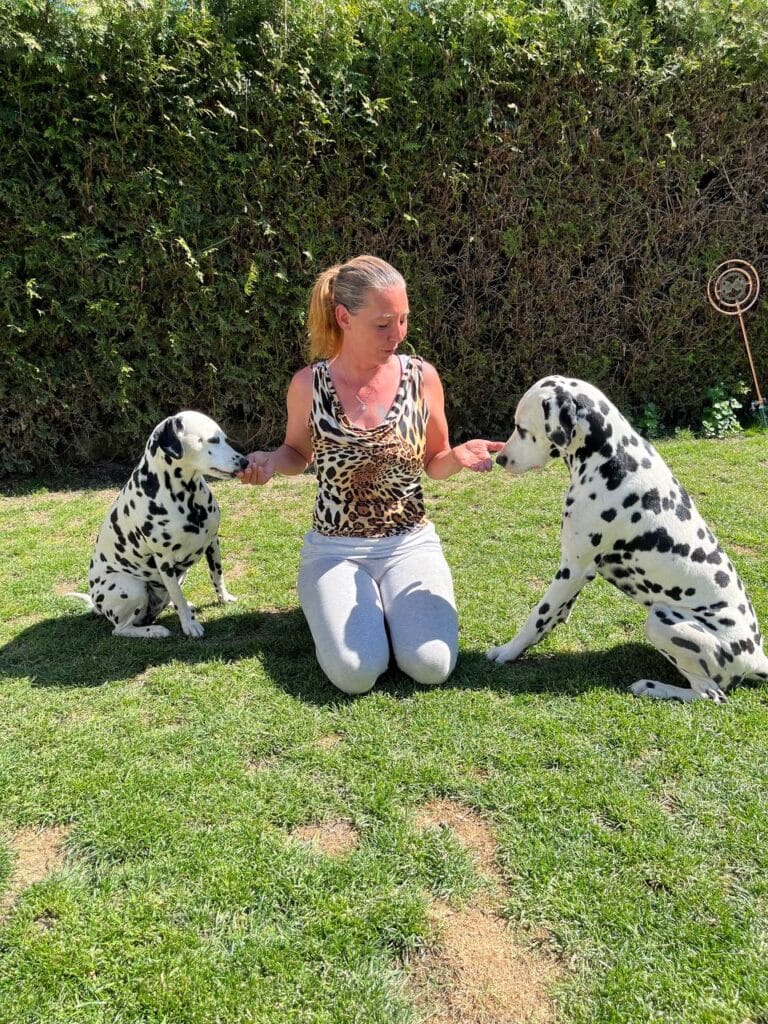 Gruenderin Yvonne kniet im Garten und interagiert auf Augenhoehe mit ihren zwei Dalmatinern passend zur 25 jaehrigen Hundepraxis