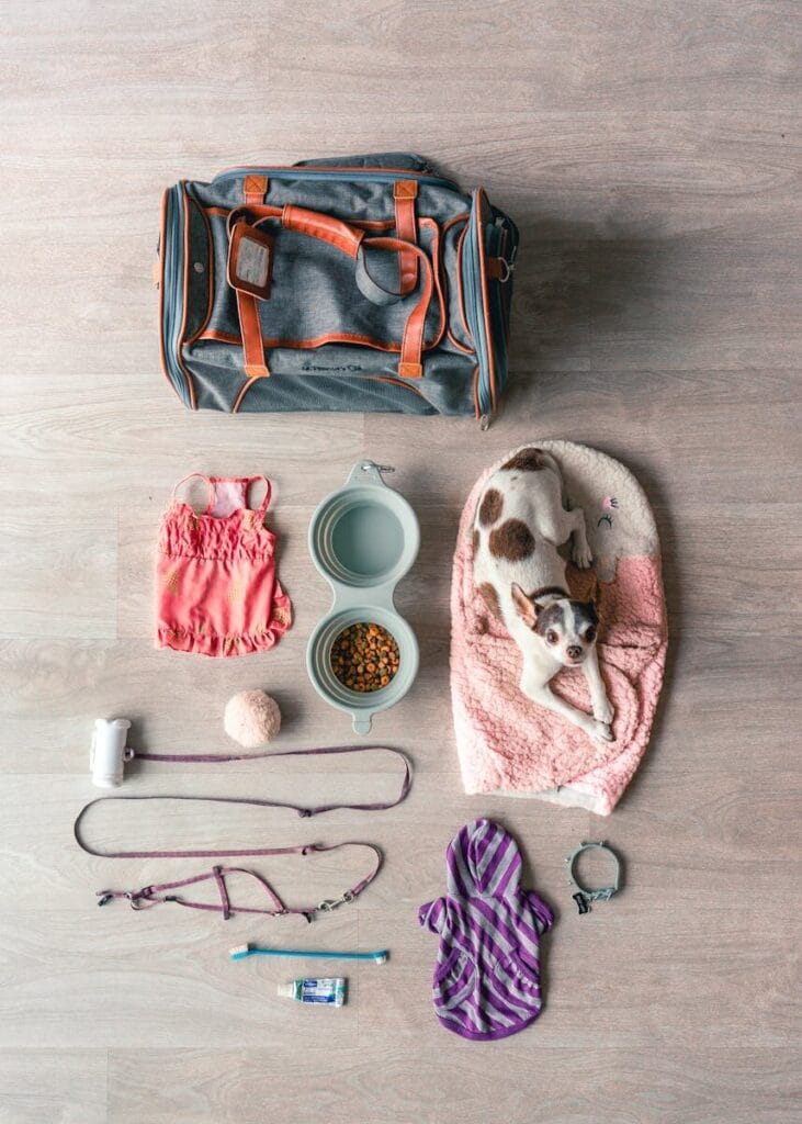 Perfekt organisierte Hundeutensilien und eine Reisetasche auf dem Boden als Symbol fuer die ultimative Packliste fuer den Hundeurlaub ohne Stress