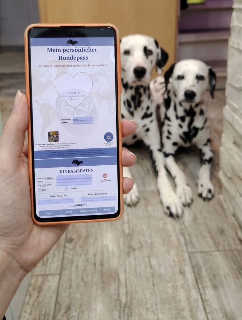Yvonne vom Pfotenportal.at zeigt den handybildschirm mit dem digitalen hundepass in die kamera. Im hintergrund sind die beiden Dalmatiner Buddy und Jina.