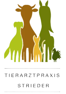 Logo der Tierarztpraxis Dr. Strieder in Nötsch im Gailtal - Experten-Partner vom Pfotenportal für den digitalen Hundepass