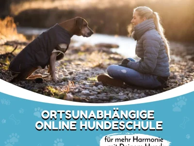 conny-sporrer-hundeschule