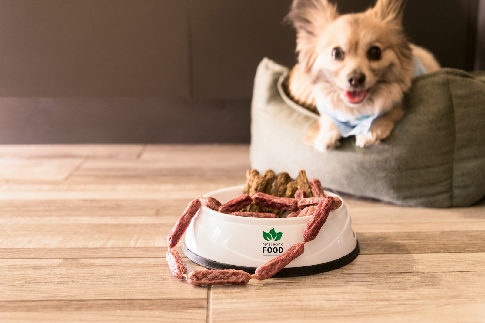 a dog sitting in a dog bed with a bowl of food